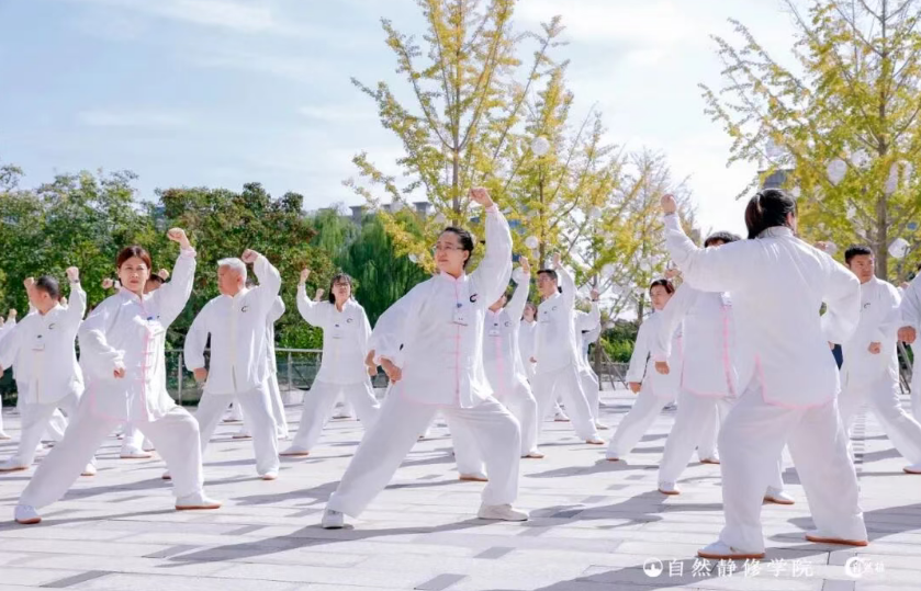 自然静修学院·简章学习活动4
