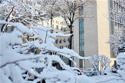 中央财经大学冬之律