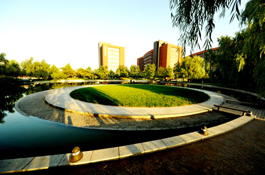 北京工业大学新绿化工程
