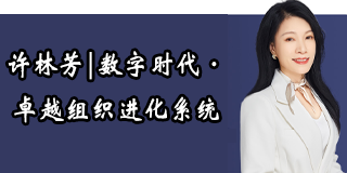 如何评价许林芳的管理课程？课程有用吗
