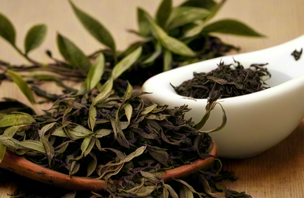 成人茶学研修班推荐