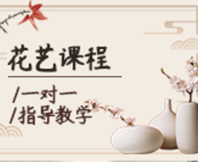 2024年介绍：秦汉胡同琵琶课程