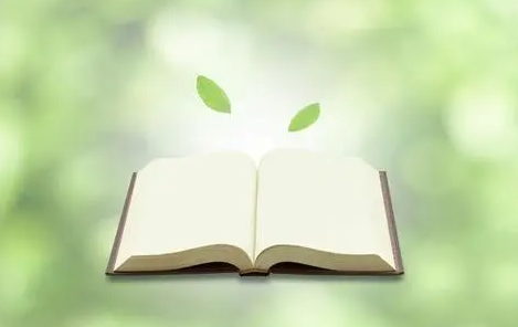 陈列师是做什么的？