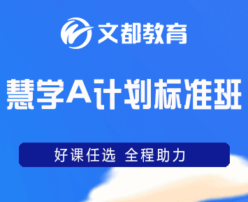 文都教育的课程中有哪些实战演练的机会？