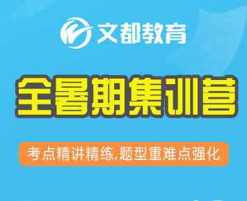 文都教育的课程中有哪些实战演练的机会？