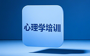 2025行为心理学理学课程师资如何？