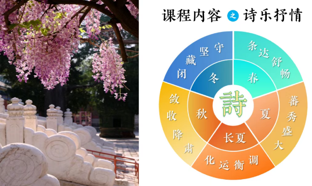 2025 年北京国子监有夏令营吗？怎么样靠谱吗？