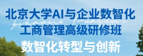 2025年企业数智化管理如何实施？