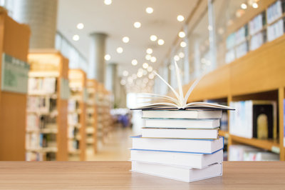 思特雅大学在职博士有英文要求?