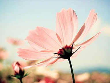 女性职业培训收费标准多少