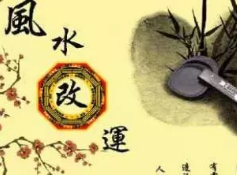 玖舍文化玖舍课堂 2024年魅力课程