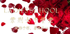 珠海紫荆力合教育——2024年全新课程等你来！
