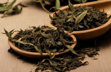 专业茶课程白茶高级研修班介绍