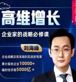 2024年介绍:刘海峰高维战略运营