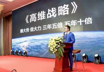 刘海峰高维战略产业思维（2024年介绍）