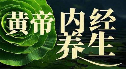 2025年黄帝内经班讲什么?