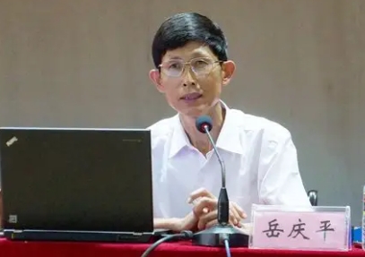 岳庆平课程效果好吗?