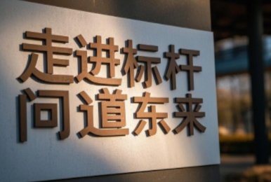 2025年走进胖东来游学班介绍